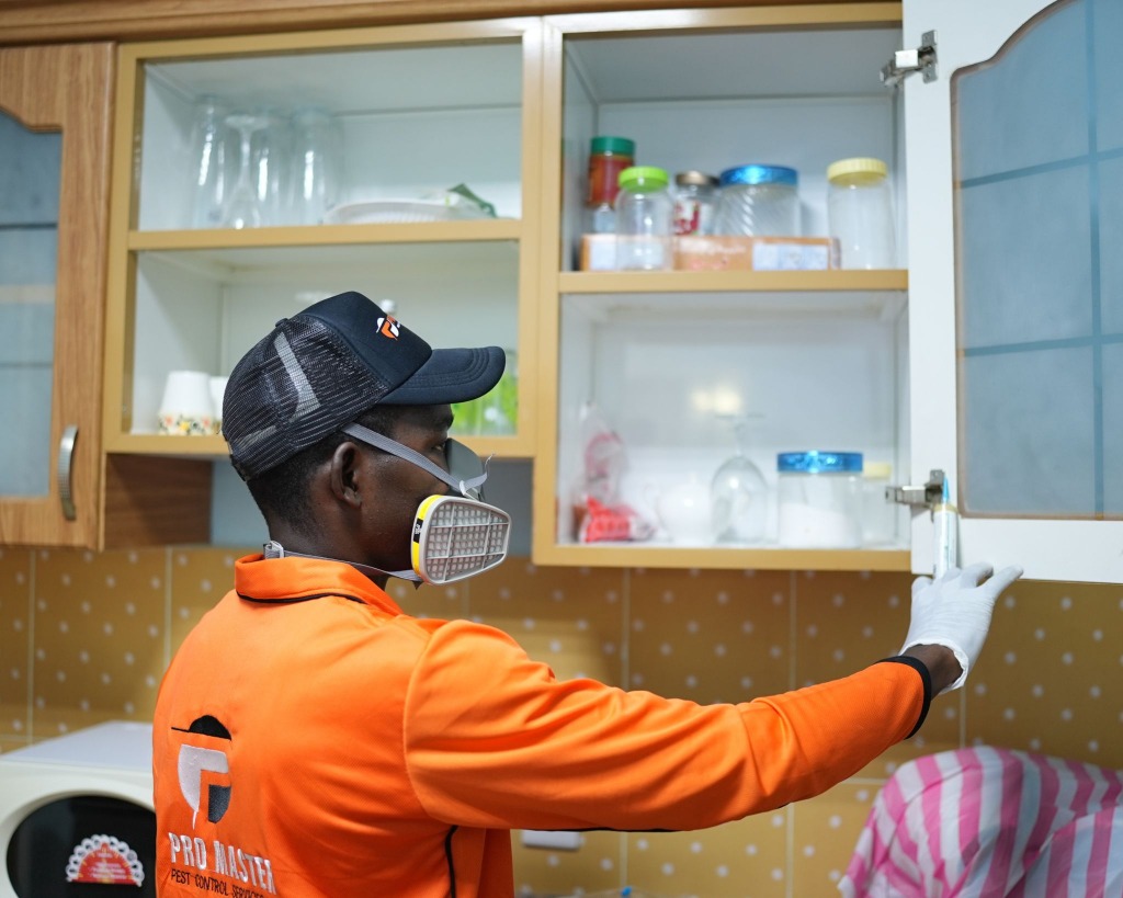 Indoor Kitchen Cabinet Precision Gel Treatment Dubai